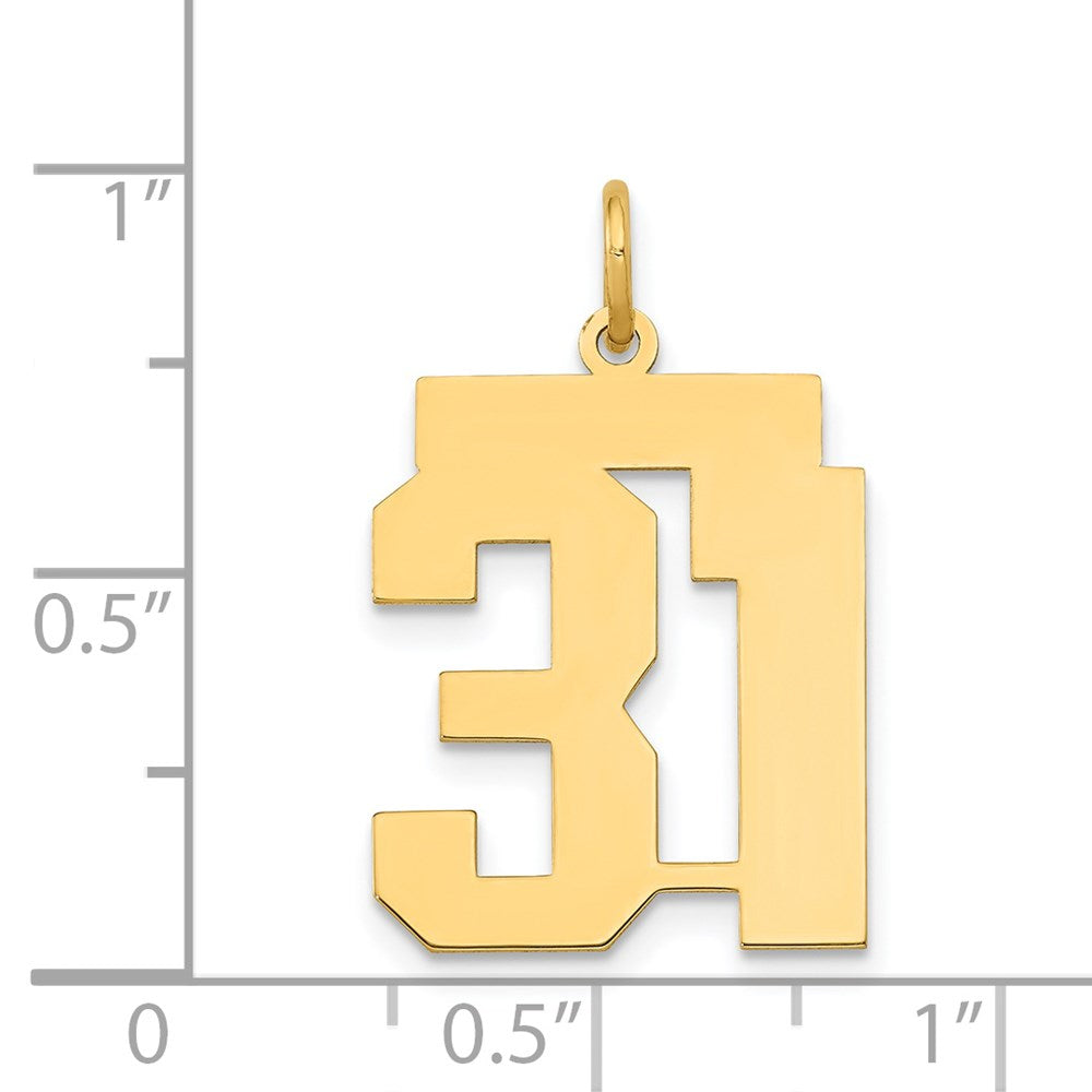 14k Medium Polished Number 31 Charm