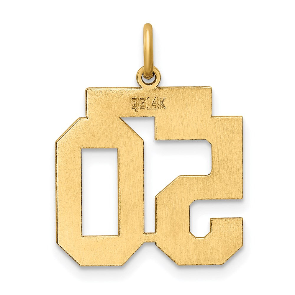 14k Medium Polished Number 50 Charm