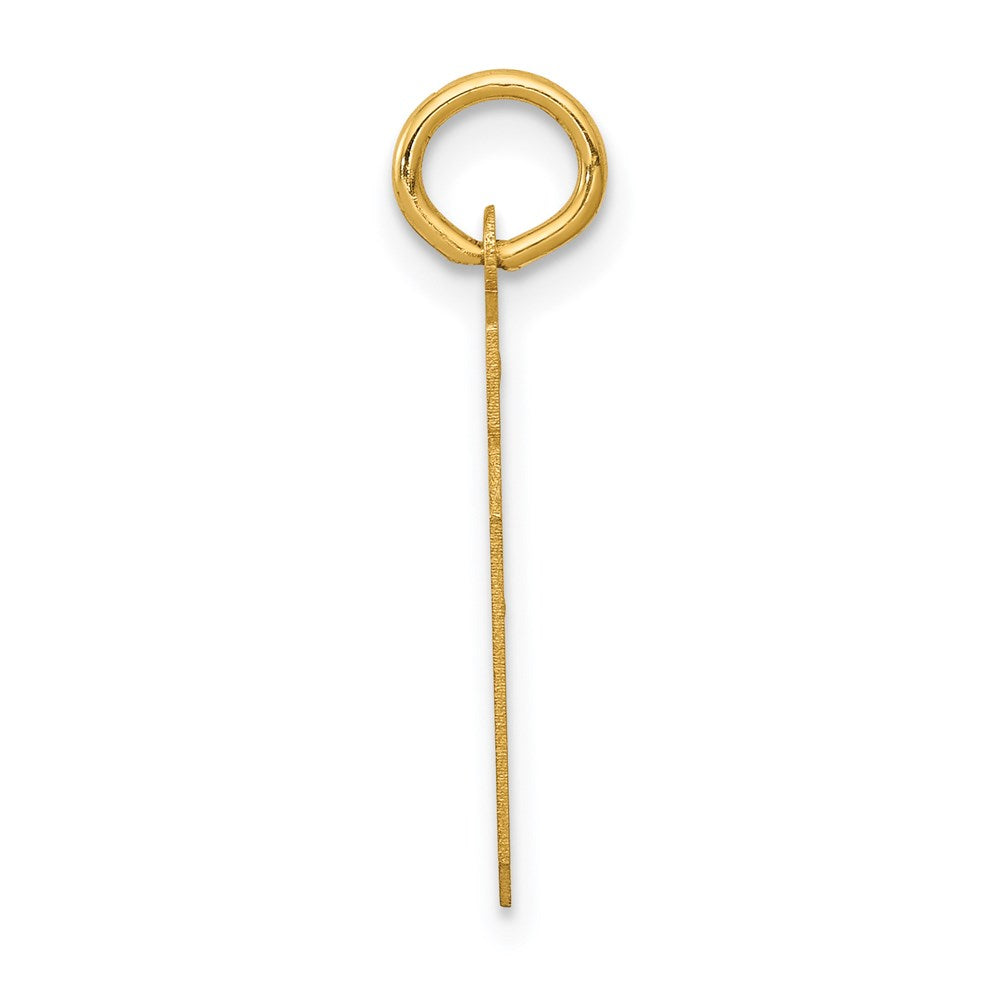 14k Small Satin Number 39 Charm