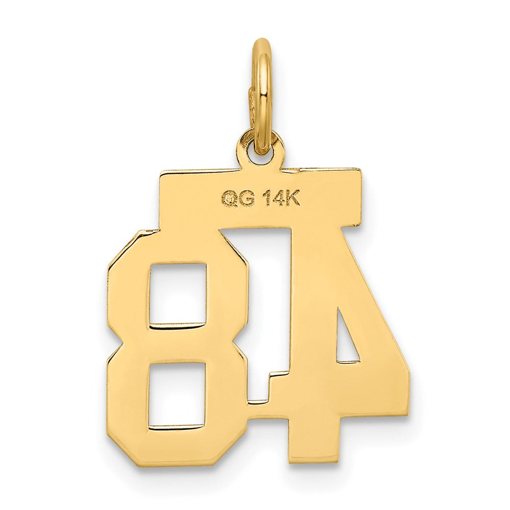 14k Small Satin Number 48 Charm