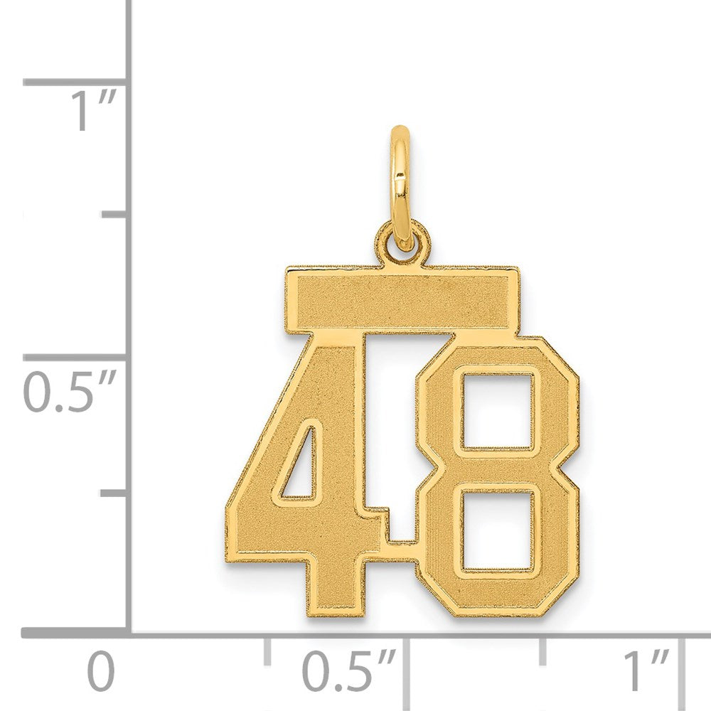 14k Small Satin Number 48 Charm