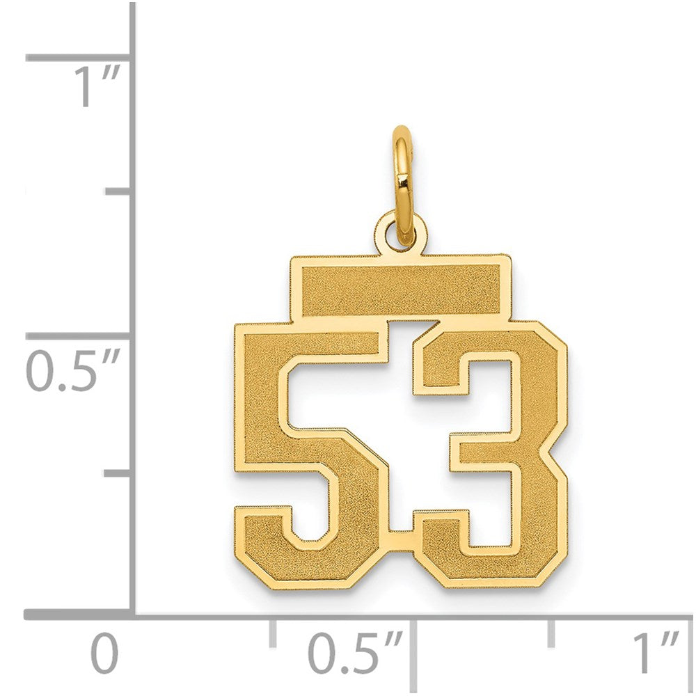 14k Small Satin Number 53 Charm
