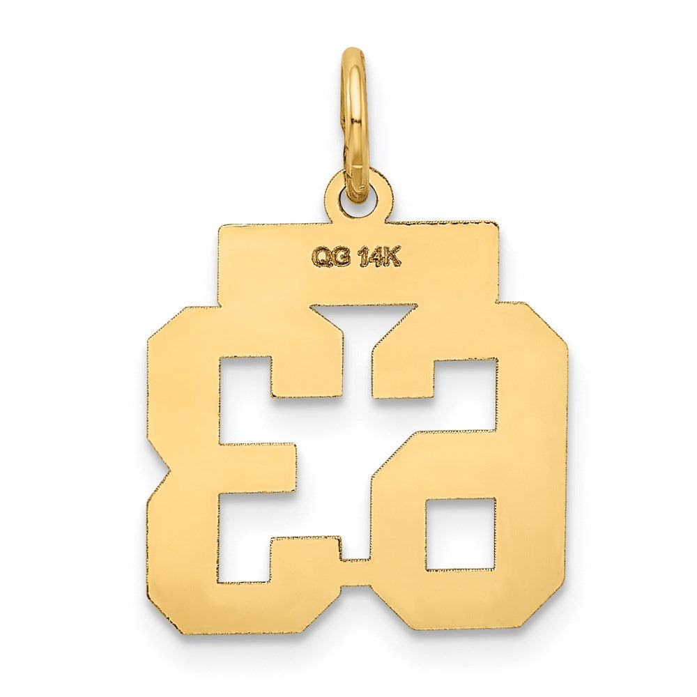 14k Small Satin Number 63 Charm