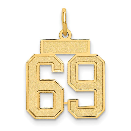 14k Small Satin Number 69 Charm