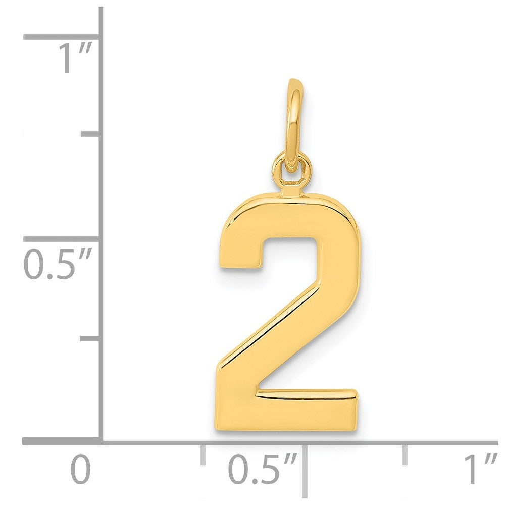 14k Medium Polished Number 2 Charm