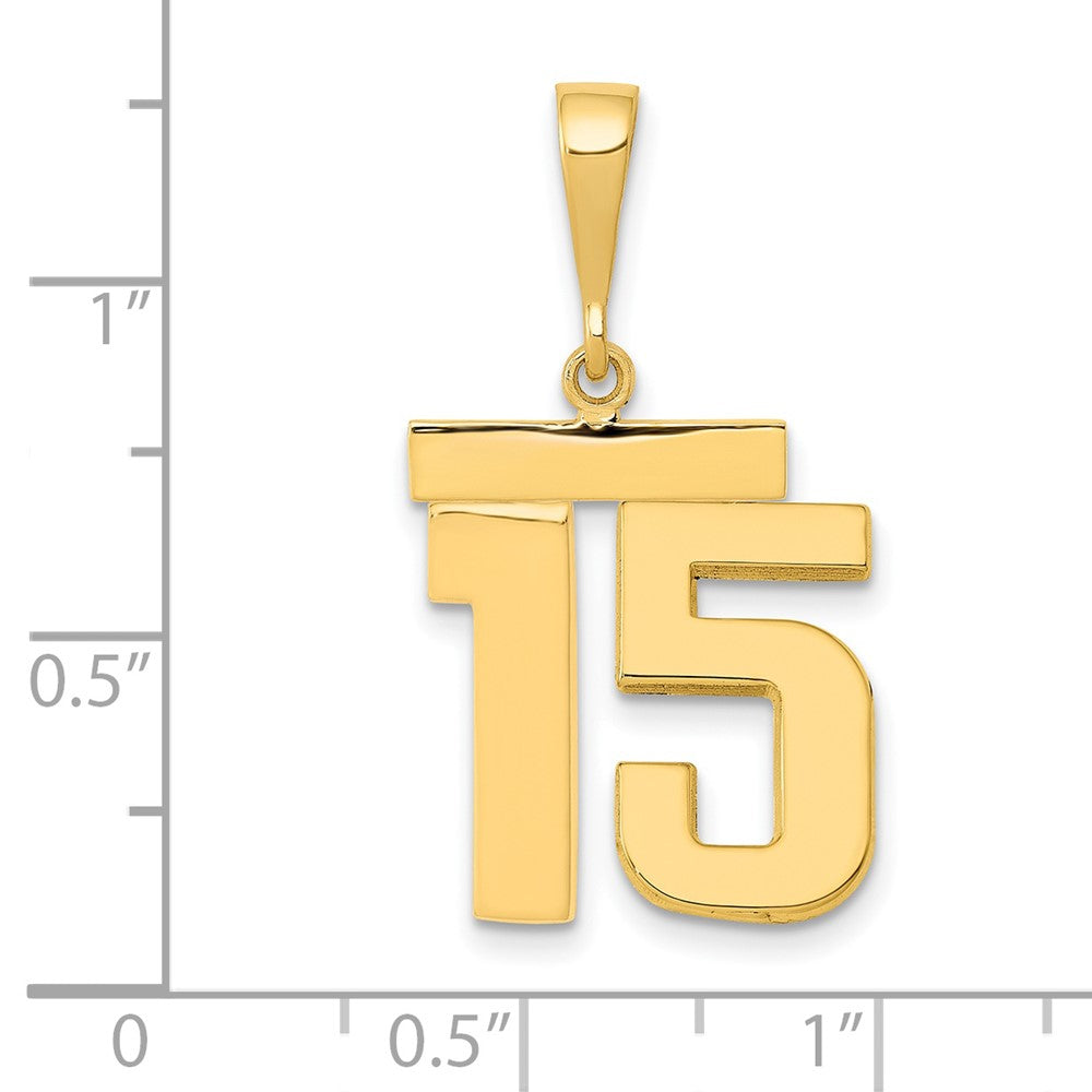 14k Medium Polished Number 15 Charm