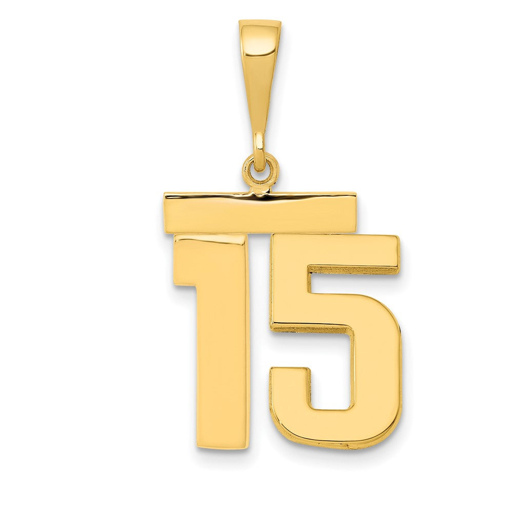 14k Medium Polished Number 15 Charm