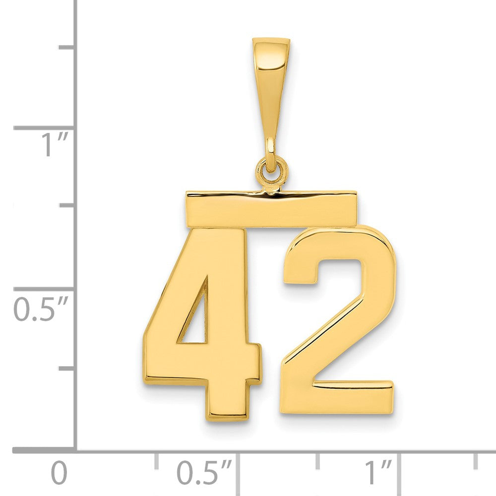14k Medium Polished Number 42 Charm