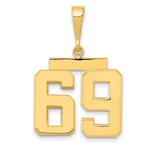 14k Medium Polished Number 69 Charm