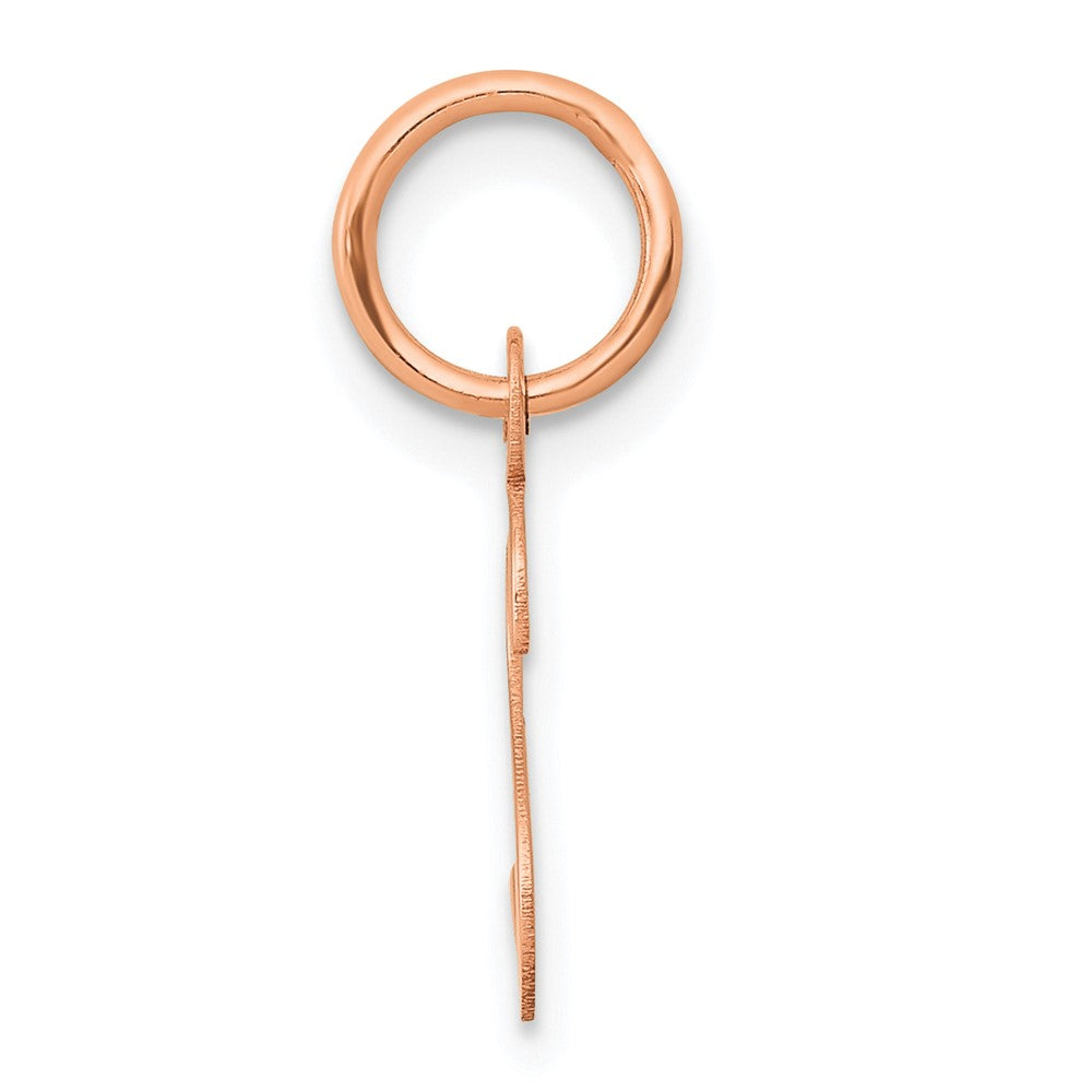 14k Rose Gold  Slanted Block Initial S Charm