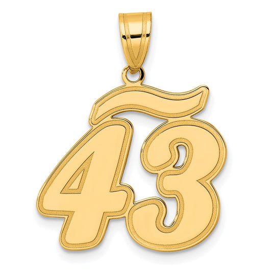 14k Brushed Border Script Number 43 Pendant