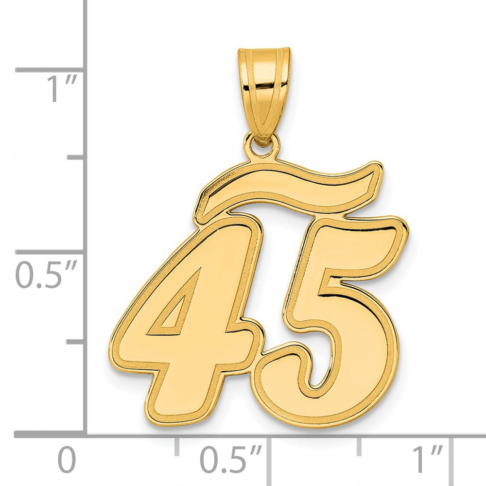 14k Brushed Border Script Number 45 Pendant