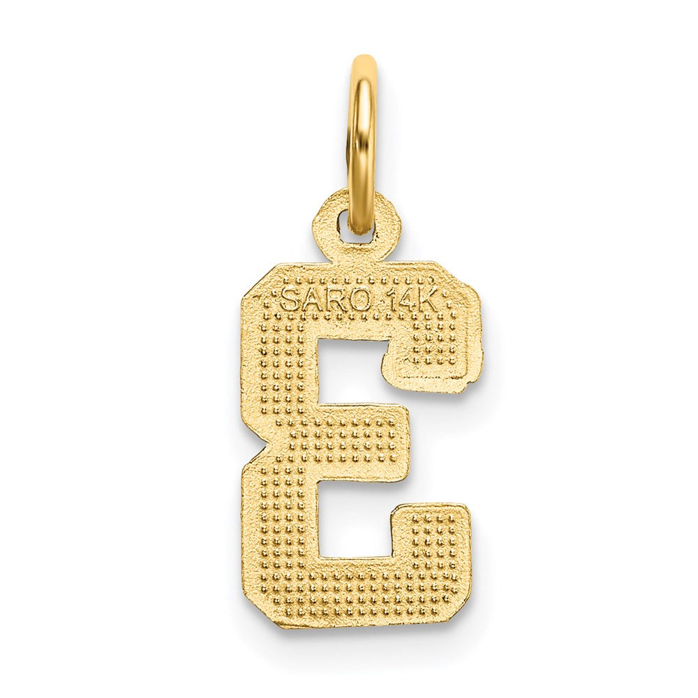 14k Small Brushed Diamond-cut Number 3 Charm