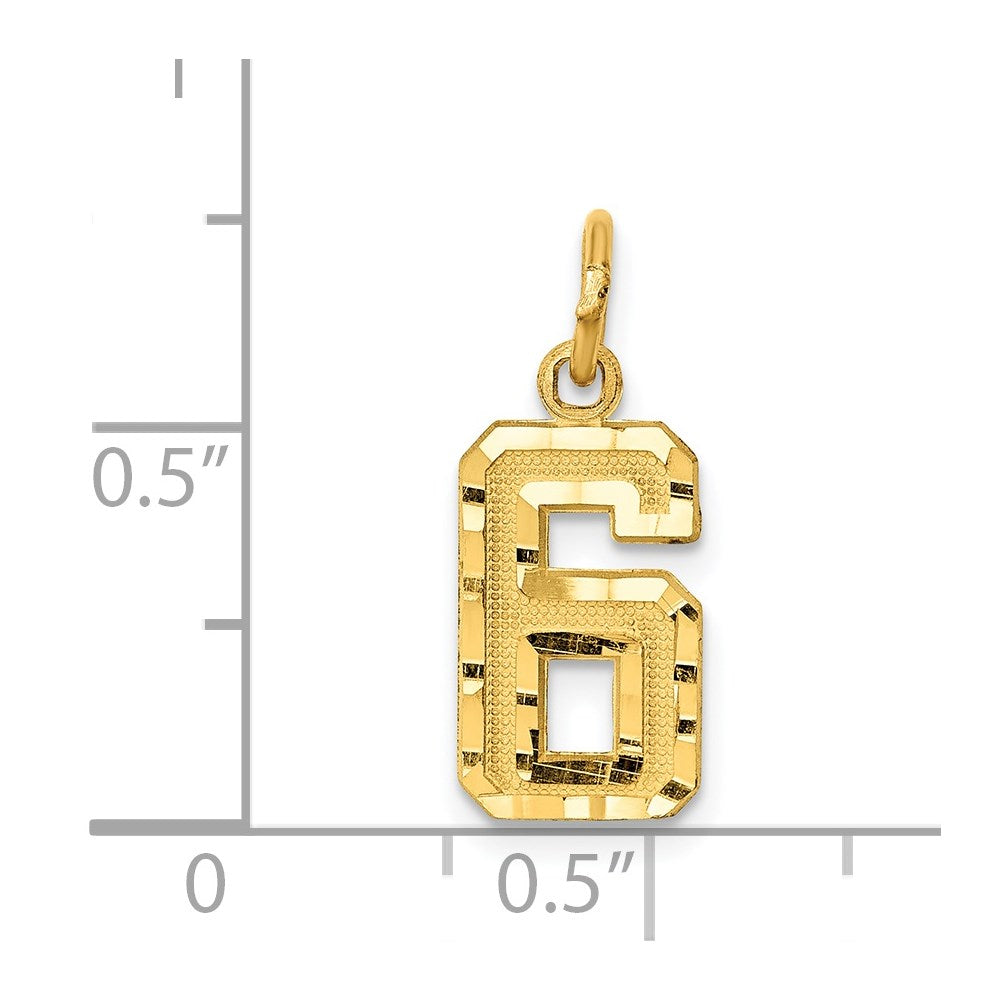 14k Small Brushed Diamond-cut Number 6 Charm