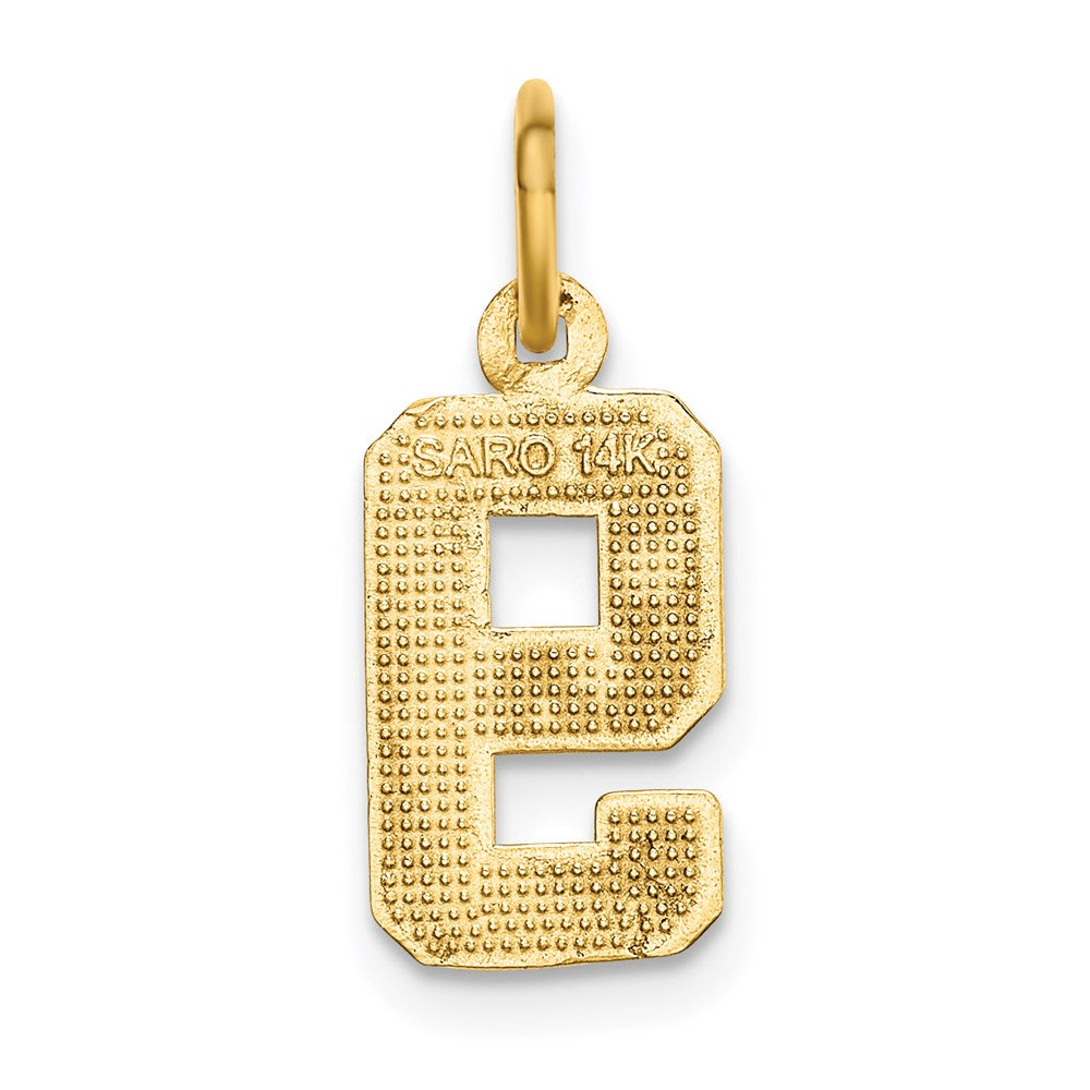 14k Small Brushed Diamond-cut Number 9 Charm