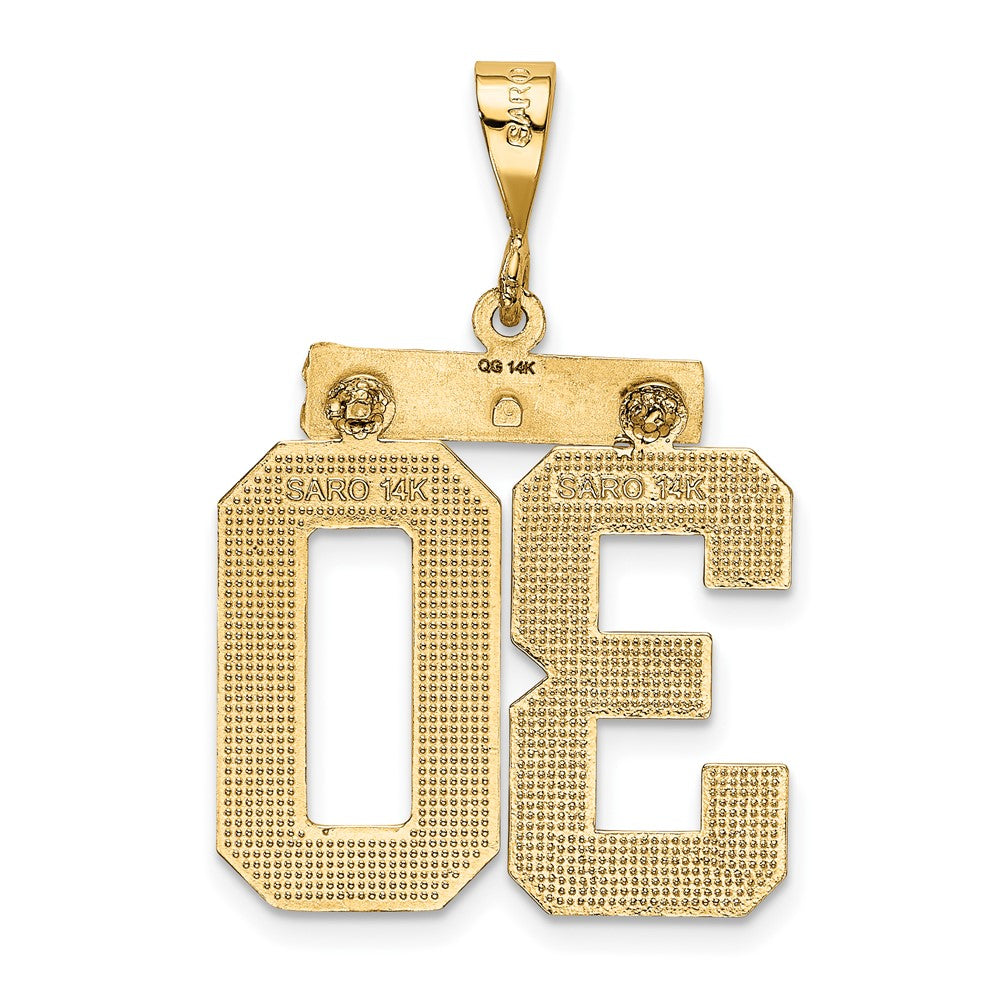 14k Small Brushed Diamond-cut Number 30 Charm