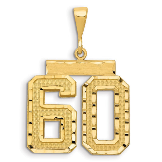14k Small Brushed Diamond-cut Number 60 Charm