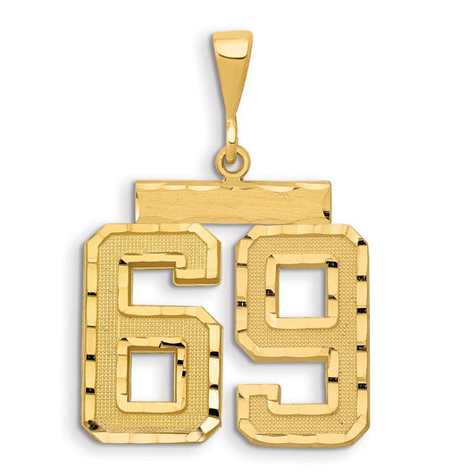 14k Small Brushed Diamond-cut Number 69 Charm