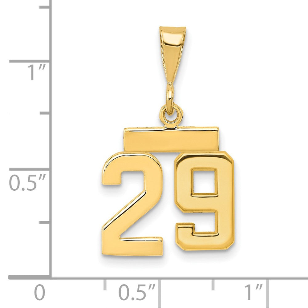 14k Small Polished Number 29 Charm