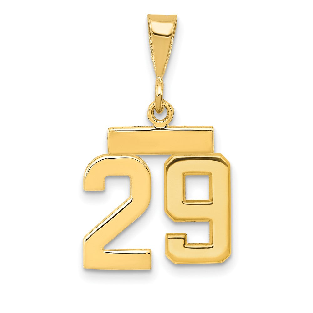 14k Small Polished Number 29 Charm