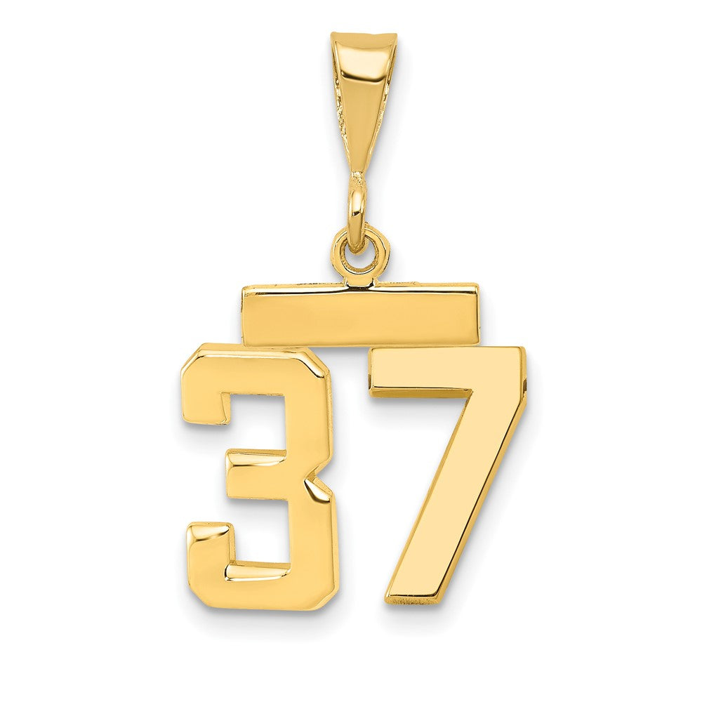 14k Small Polished Number 37 Charm