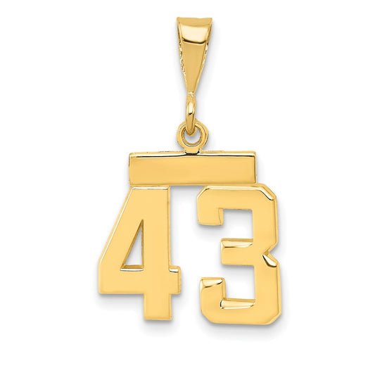 14k Small Polished Number 43 Charm