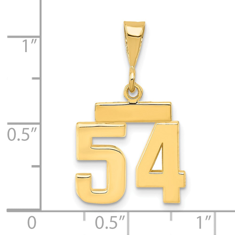 14k Small Polished Number 54 Charm