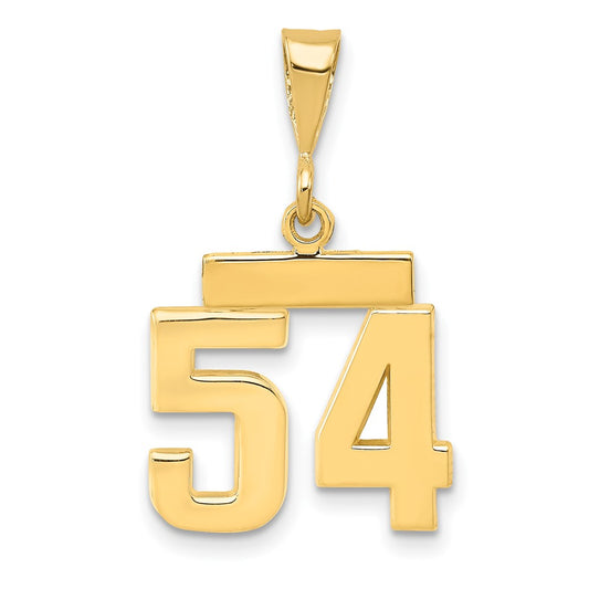 14k Small Polished Number 54 Charm