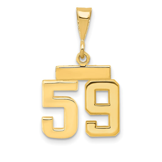 14k Small Polished Number 59 Charm