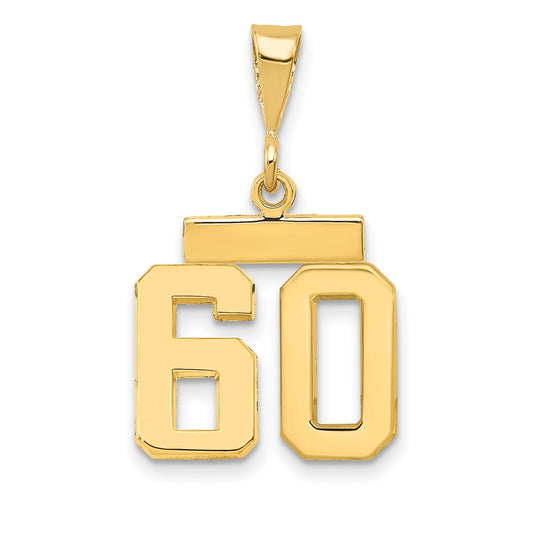14k Small Polished Number 60 Charm