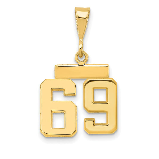 14k Small Polished Number 69 Charm