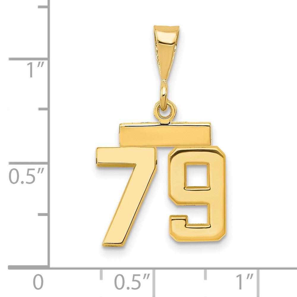 14k Small Polished Number 79 Charm
