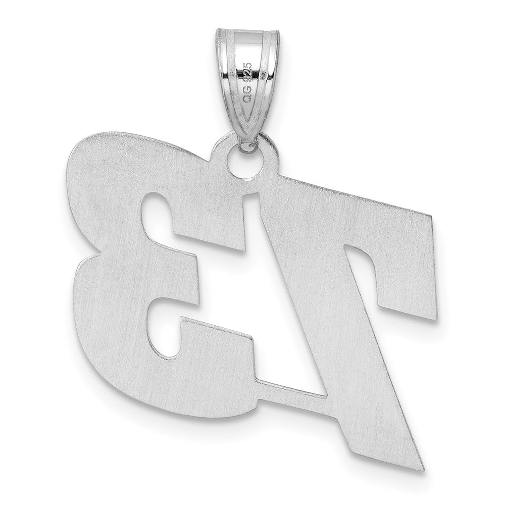 14kw Polished Block Number 73 Pendant