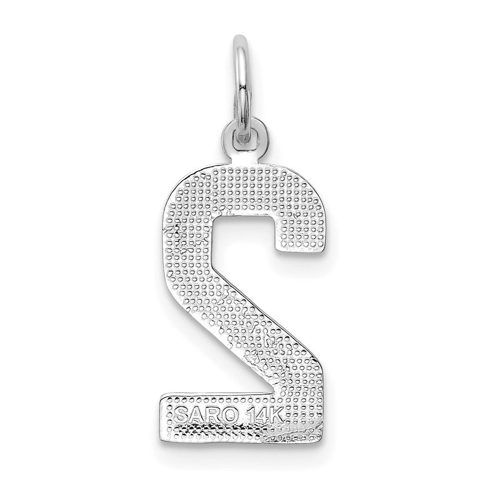 14kw  Medium Polished Number 2 Charm