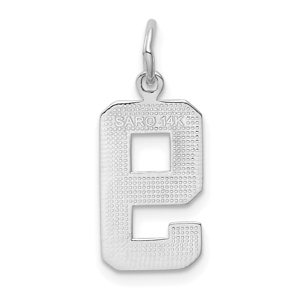 14kw Medium Polished Number 9 Charm