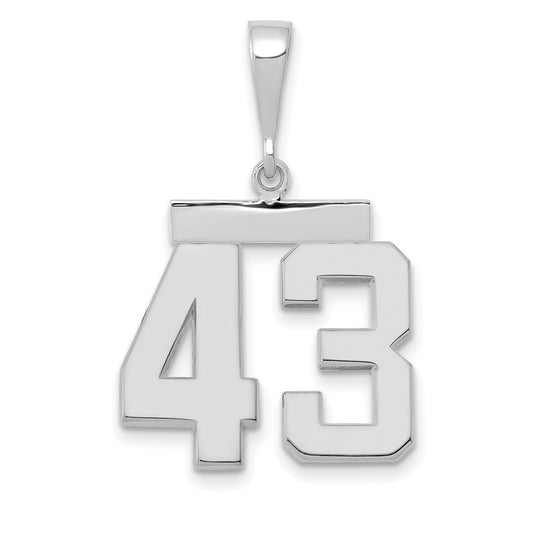 14kw Medium Polished Number 43 Charm