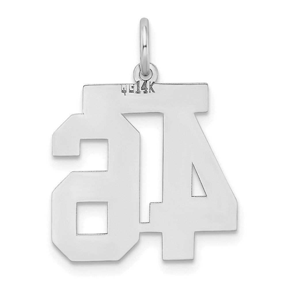 14kw Medium Satin Number 46 Charm