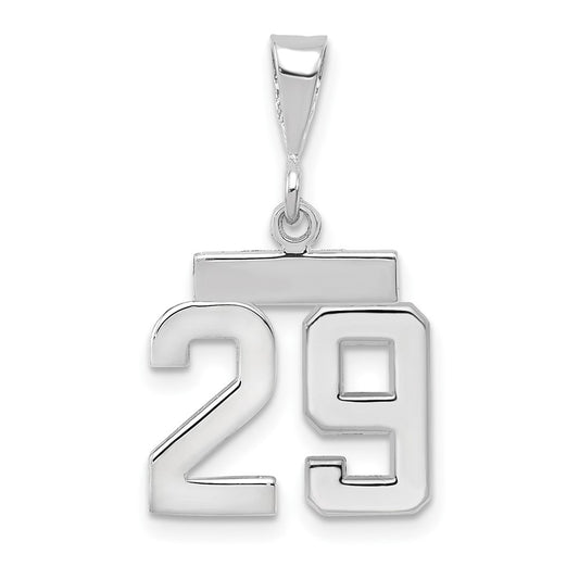 14kw Small Polished Number 29 Charm