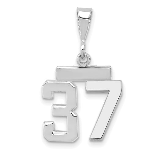 14kw Small Polished Number 37 Charm