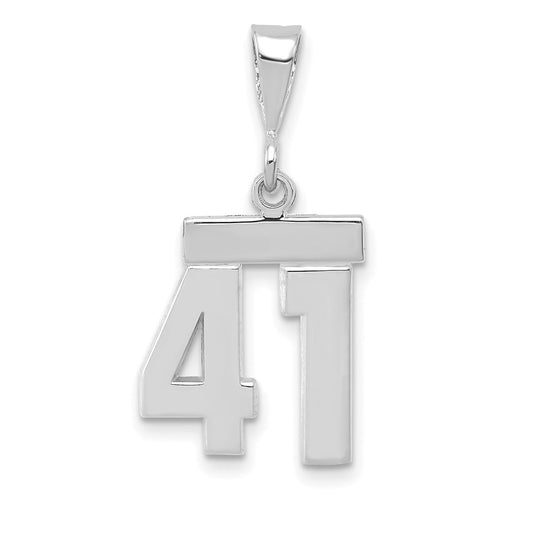 14kw Small Polished Number 41 Charm