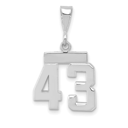 14kw Small Polished Number 43 Charm