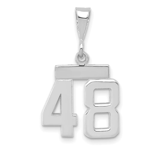 14kw Small Polished Number 48 Charm