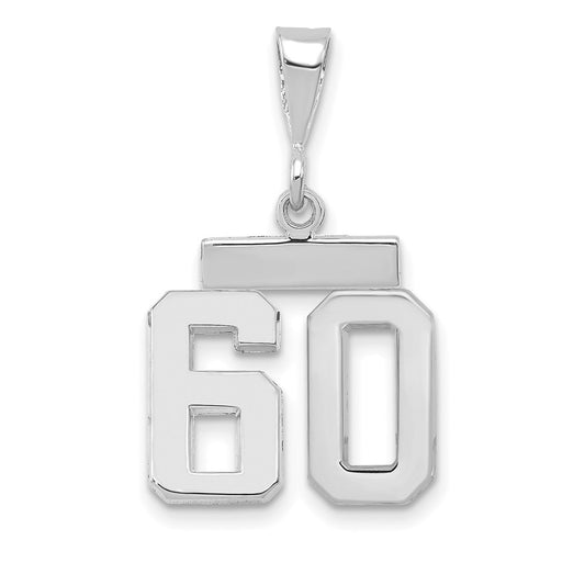 14kw Small Polished Number 60 Charm