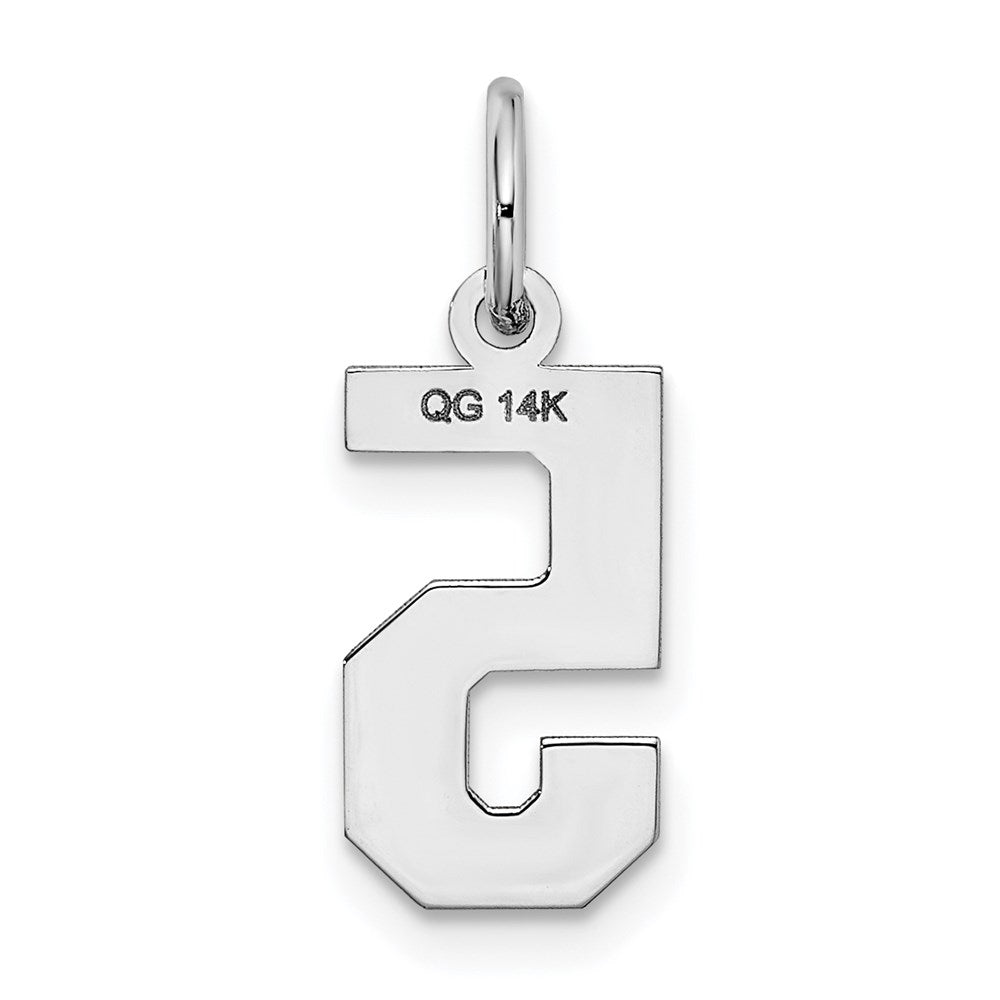 14kw Small Satin Number 5 Charm
