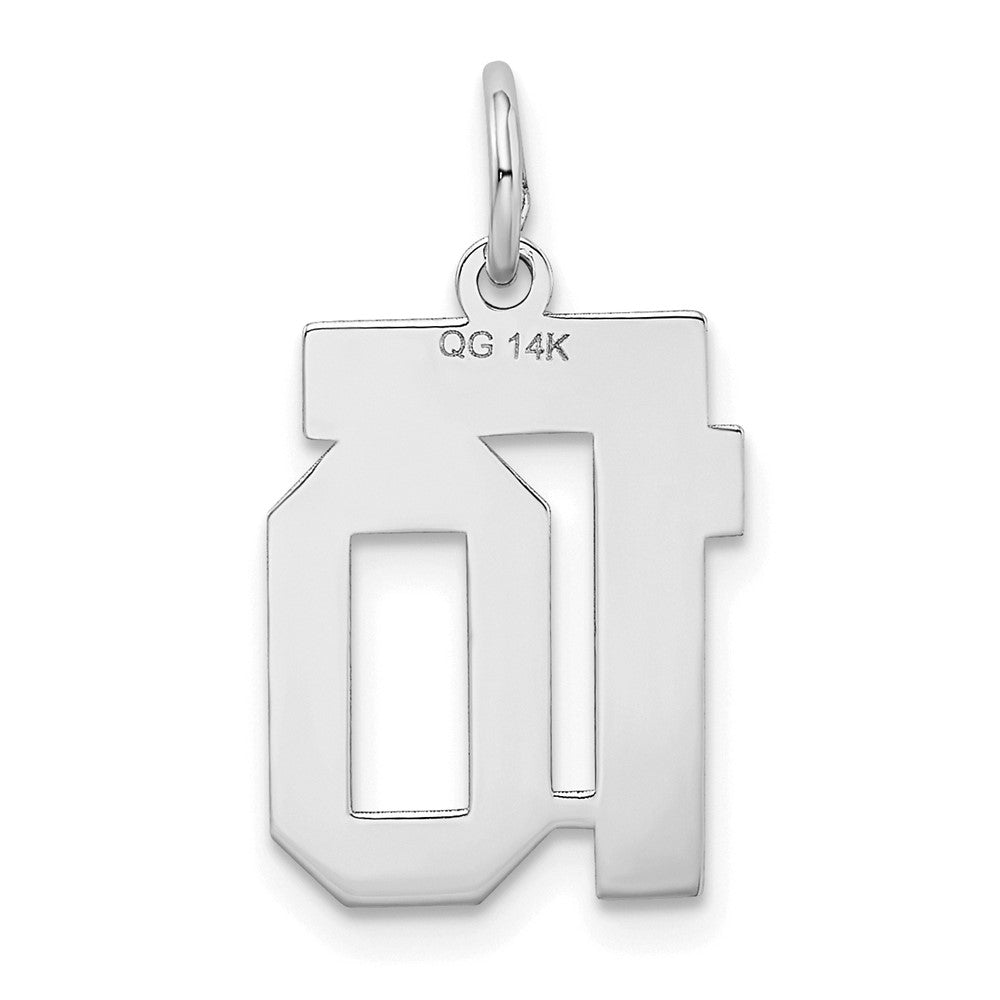 14kw Small Satin Number 10 Charm