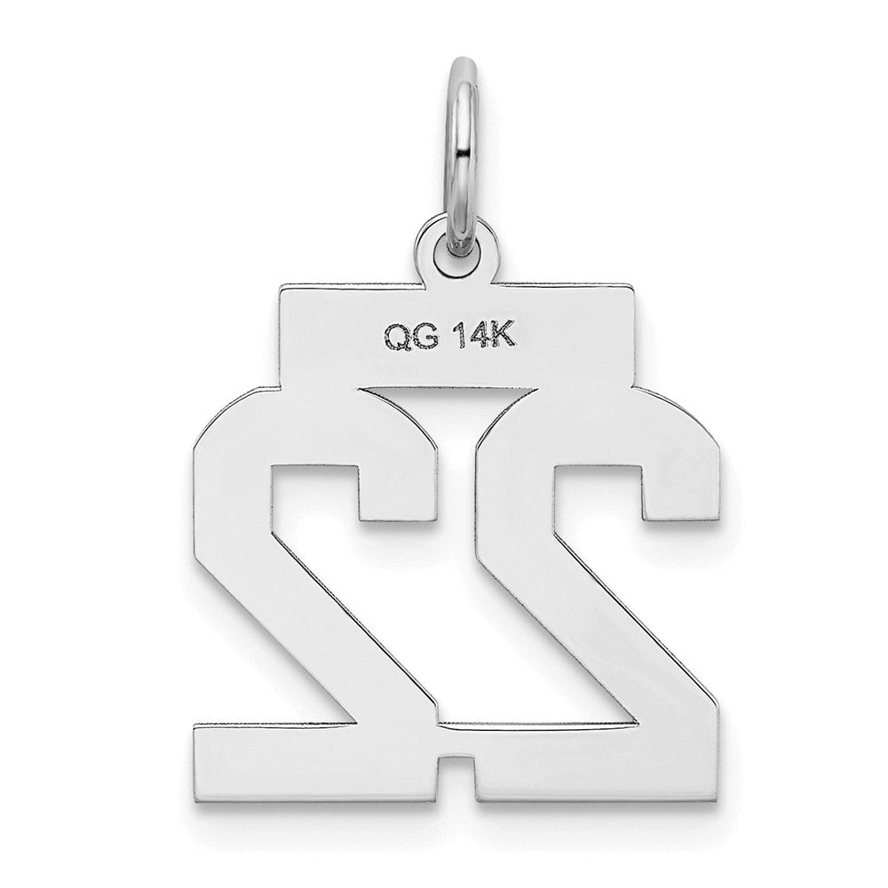 14kw Small Satin Number 22 Charm