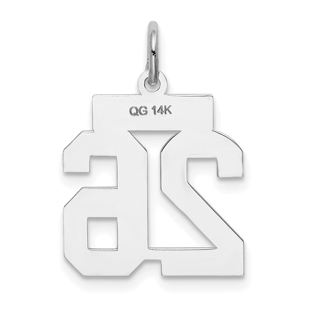 14kw Small Satin Number 26 Charm