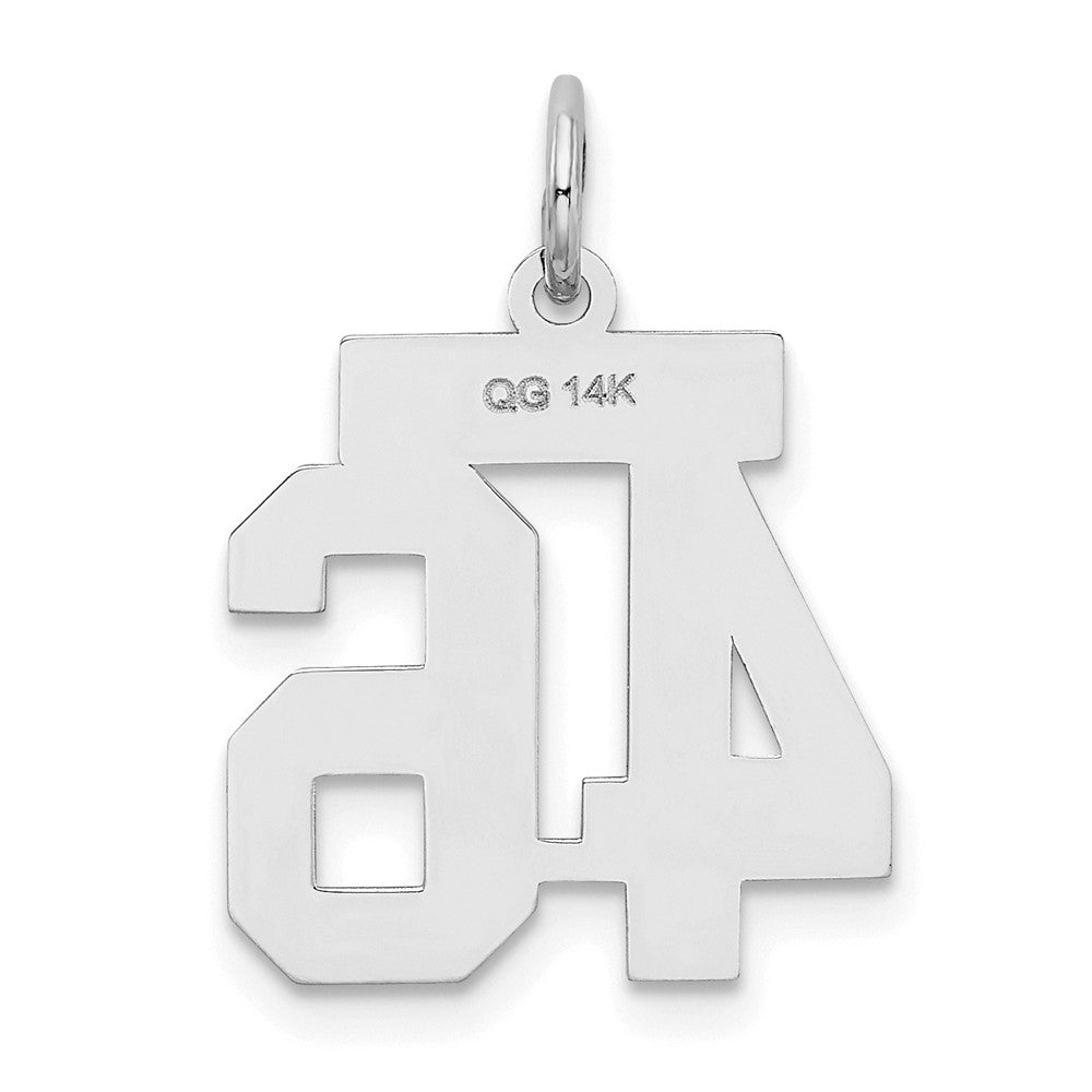14kw Small Satin Number 46 Charm