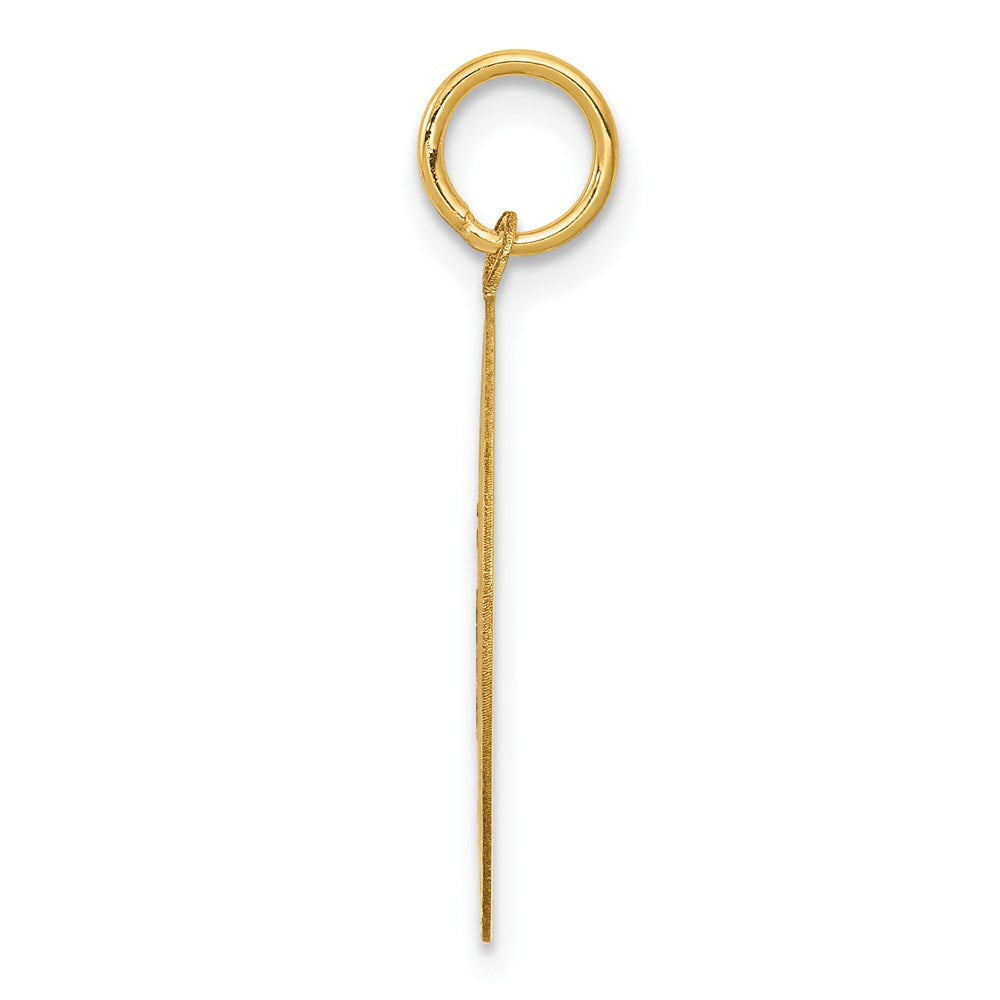 14k Beagle Disc Charm