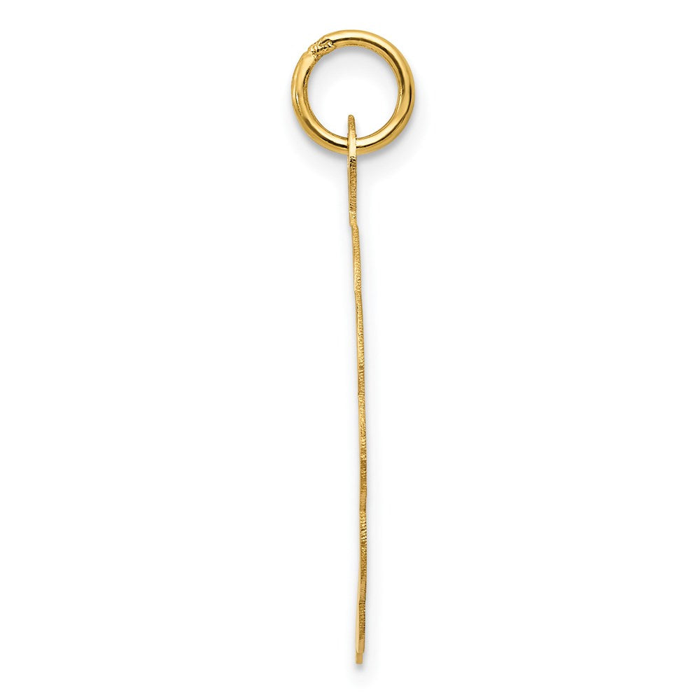 14K A DATE TO REMEMBER Disc Charm